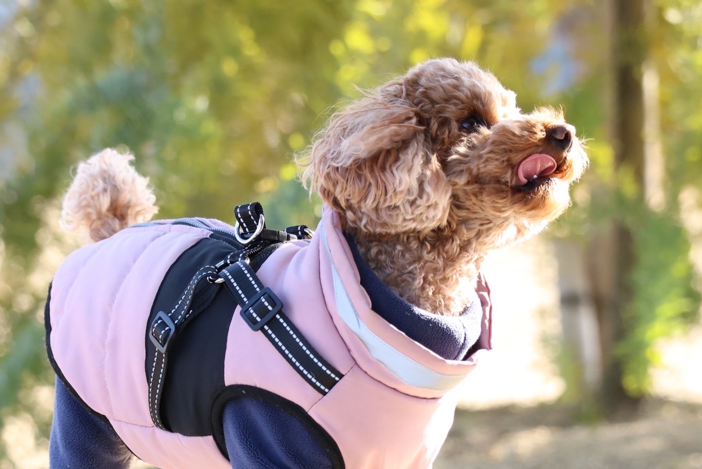 空気感のある写真